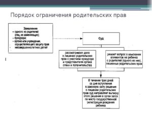 Ограничение отца в родительских правах судебная практика