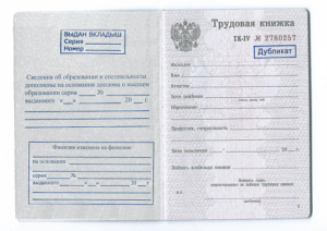 Выдан вкладыш запись в трудовой книжке
