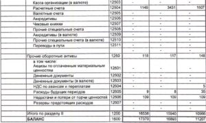 Расходы будущих периодов в балансе