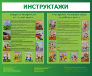 Кто проходит вводный инструктаж по охране труда на предприятии