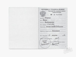 Выдан вкладыш запись в трудовой книжке