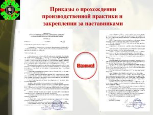 Образец заполнения приказа на практику погрузчтка
