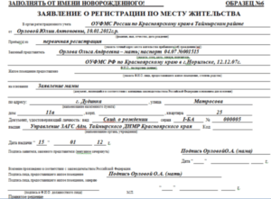 Перепрописка несовепшеннолетнего сроки