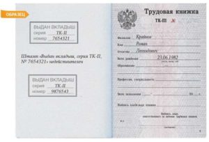 Выдан вкладыш запись в трудовой книжке