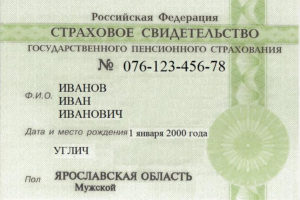 Сроки изготовления снилс