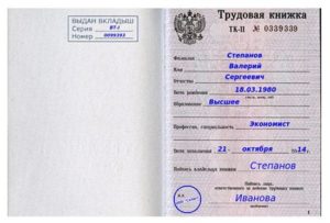 Выдан вкладыш запись в трудовой книжке