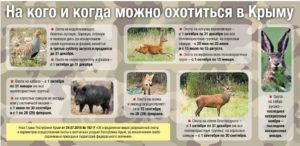 Когда начинается охота и на кого