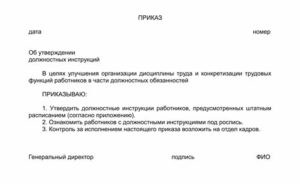 Считать утратившим силу должностной инструкции в предыдущей редакции
