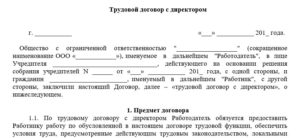 Трудовой договор управляющим сетью магазина образец