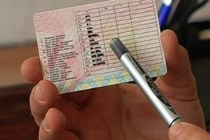 Замена водительских прав в могилеве