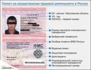 Виды деятельности для иностранцев по патенту