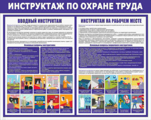 Кто проходит вводный инструктаж по охране труда на предприятии