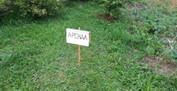 Возможно продать земельный участок который в аренде