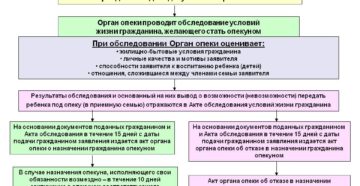 Причины по кторым опекунский совет отказывает в назначении опеки