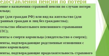 Какие документы надо на пенсию по потере кормильца Какие документы надо на пенсию по потере кормильца