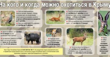 Когда начинается охота и на кого