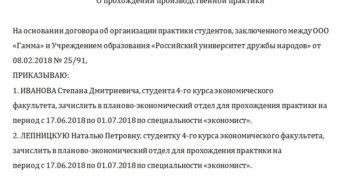 Образец заполнения приказа на практику погрузчтка Образец заполнения приказа на практику погрузчтка