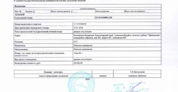 Получить выписку из регистрационной палаты Получить выписку из регистрационной палаты