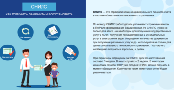 Срок получения снилс