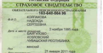 Узнать номер пенсионного страхового свидетельства по паспорту Узнать номер пенсионного страхового свидетельства по паспорту