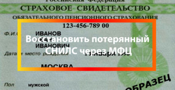 Где можно получить дубликат снилс при утере екатеринбург Где можно получить дубликат снилс при утере екатеринбург