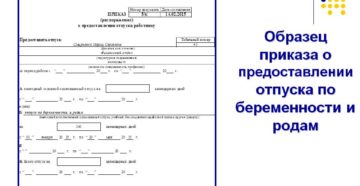 Проект приказа на отпуск по беременности и родам