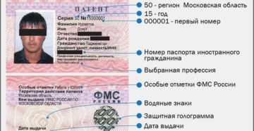 Виды деятельности для иностранцев по патенту Виды деятельности для иностранцев по патенту
